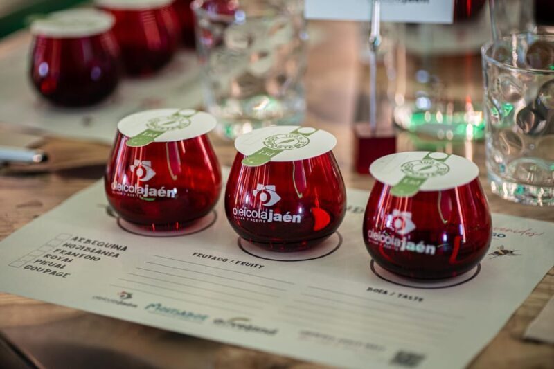 Baeza: Olive Oil Mill & Tasting at AOVEland - Baeza: Olive Oil Mill & Tasting at AOVEland — The Perfect Blend of Culture, Food, and Innovation