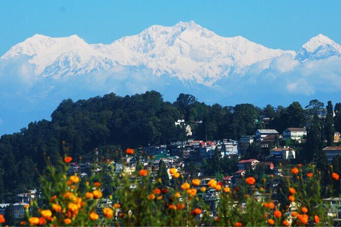 Bagdogra to Darjeeling transfer - Final thoughts