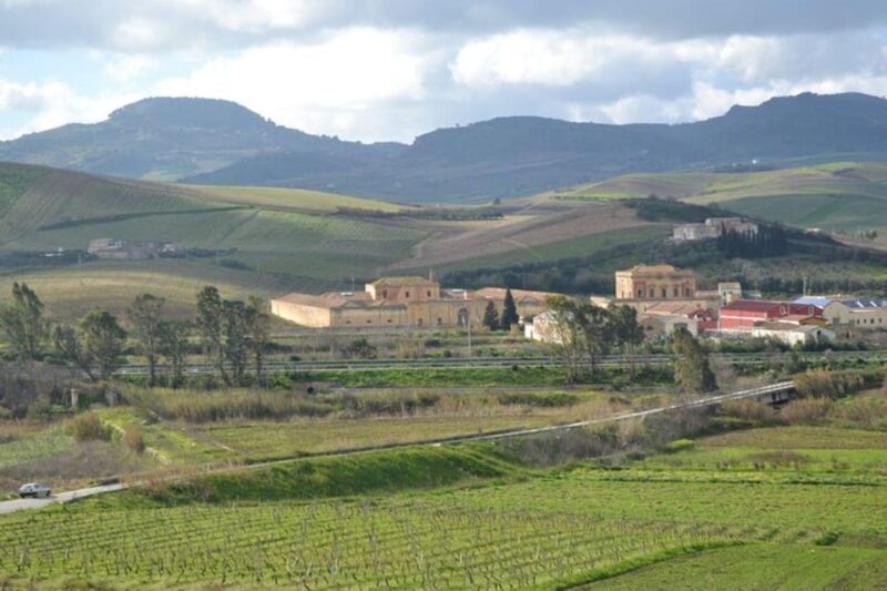 Baglio Florio Adamo: Oil Tasting - A Detailed Look at the Olive Oil Tasting Tour