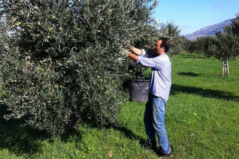 Baglio Florio Adamo: Oil Tasting - FAQs
