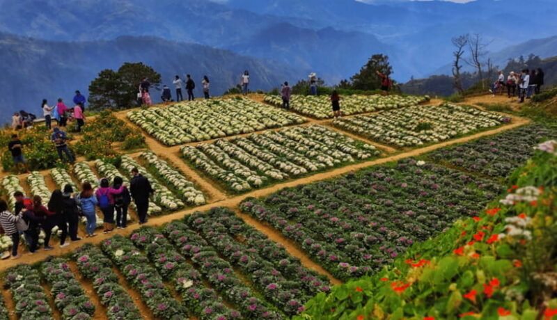 BAGUIO CITY DAY TOUR (FROM MANILA) - The Sum Up