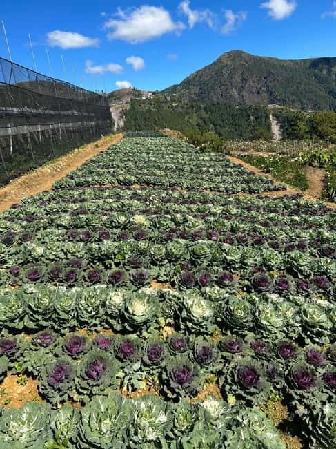 BAGUIO: Culture and Heritage Tour 2D1N - Discovering Baguio: An Authentic Cultural Journey