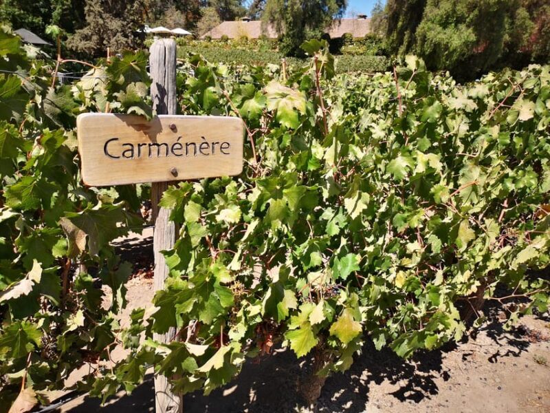 Baháí Temple, Winery and Lapis Lazuli + Private Transport - Final Thoughts