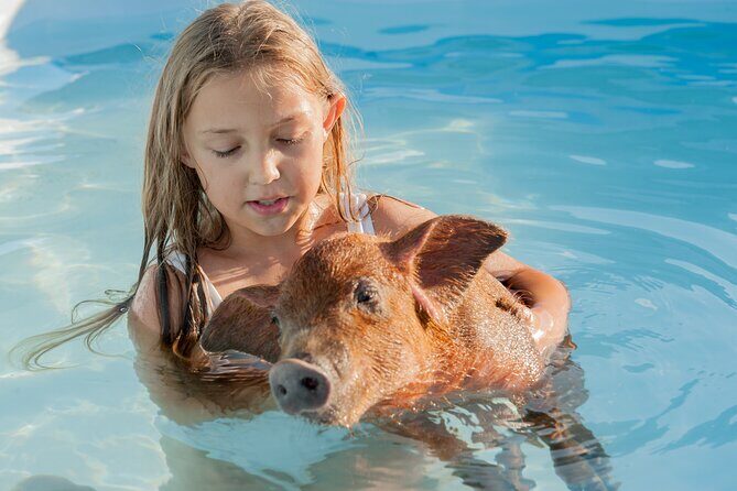 Bahamas Adventure: Pigs, Reef, Turtles, and Beach with Lunch - Frequently Asked Questions