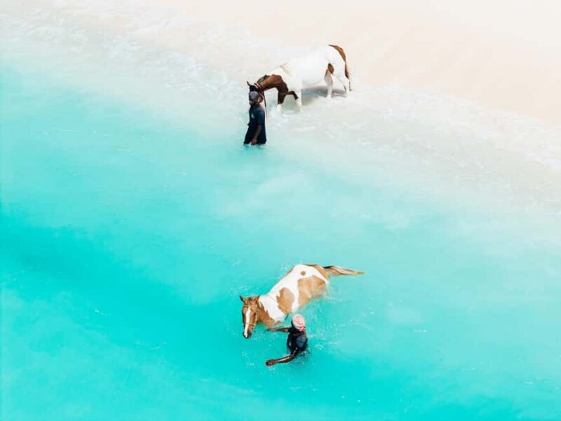 Bahamas: Horseback Riding Adventure on Beaches & Trails - Key Points