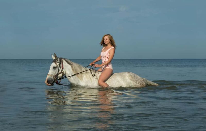 Bahamas, Nassau: Beach Horse Ride & Ocean Water Adventure - Key Points