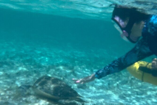 Bahamas Sea Scooter Snorkeling Adventure - FAQ