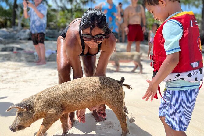 Bahamas Swimming Pigs Experience on Rose Island - The Complete Experience: What to Expect