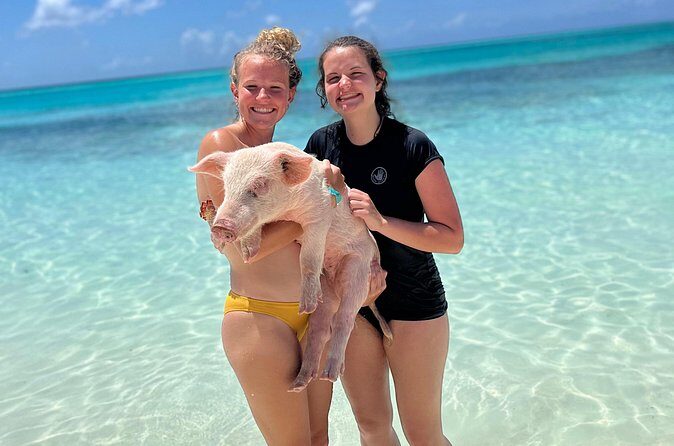 Bahamas Swimming Pigs Experience on Rose Island - Who Should Consider This Tour?