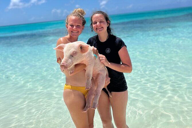 Bahamas Swimming Pigs Experience on Rose Island - The Sum Up