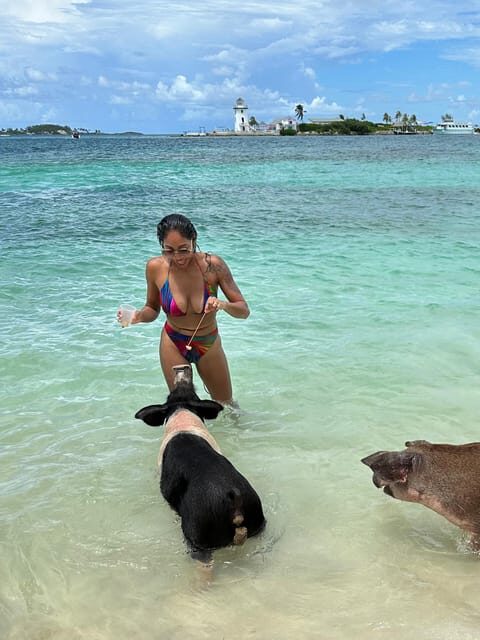 Bahamas: Swimming Pigs & Snorkeling Cruise with Lunch & Rum - Key Points