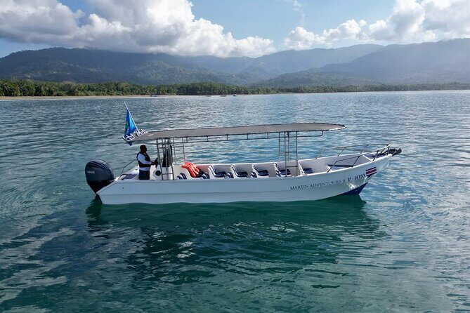 Bahia Ballena Whale and Dolphin Tour - Morning - Experience the Bahia Ballena Whale and Dolphin Tour – Morning