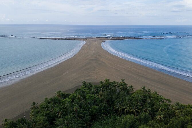 Bahia Ballena Whale and Dolphin Tour - Morning - FAQs