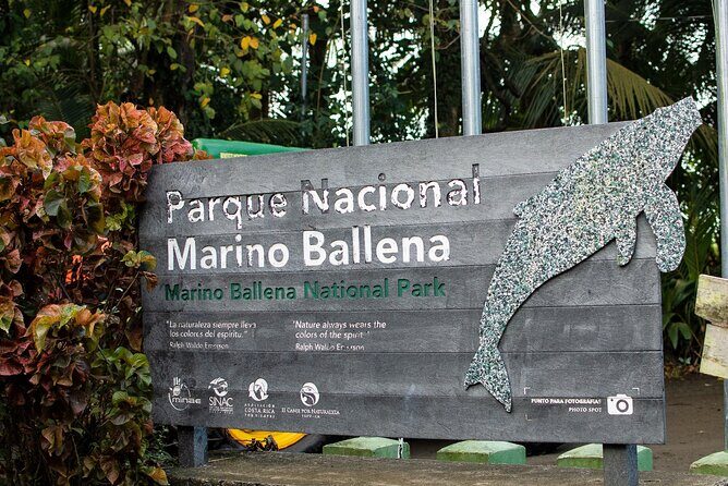 Bahia Ballena Whale and Dolphin Tour - Morning - A Detailed Look at the Bahia Ballena Whale and Dolphin Tour