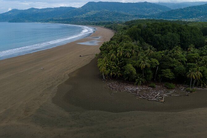 Bahia Ballena Whale and Dolphin Tour - Morning - The Sum Up
