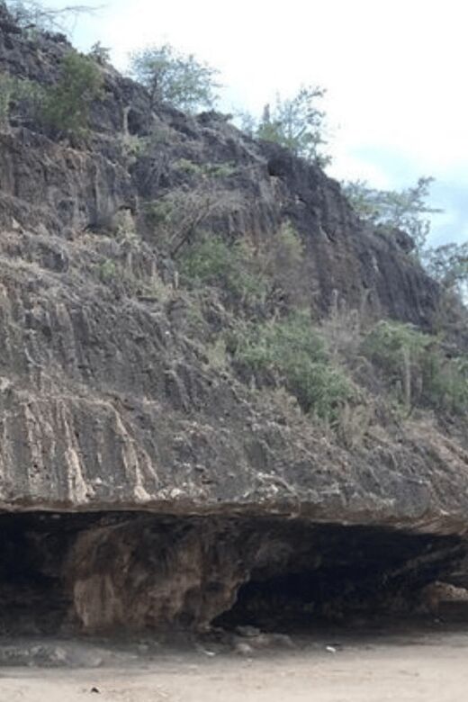 Bahía de las águilas glamping experience from Santo Domingo - Key Points