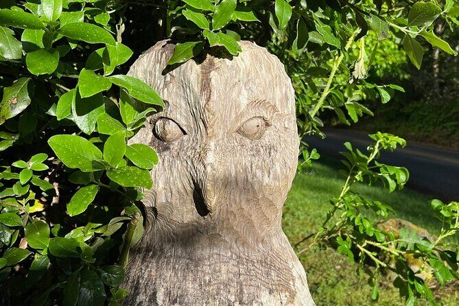 Bainbridge Island Discovery and Whiskey tasting Tour - Authentic Experiences and Real Traveler Feedback