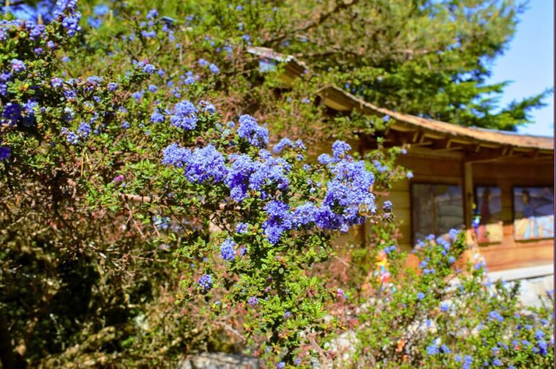 Bainbridge Island Discovery Tour - FAQs