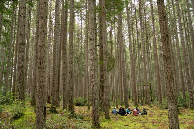 Bainbridge Island Serenity Forest Hike & Cultural Landmarks Tour - Key Points