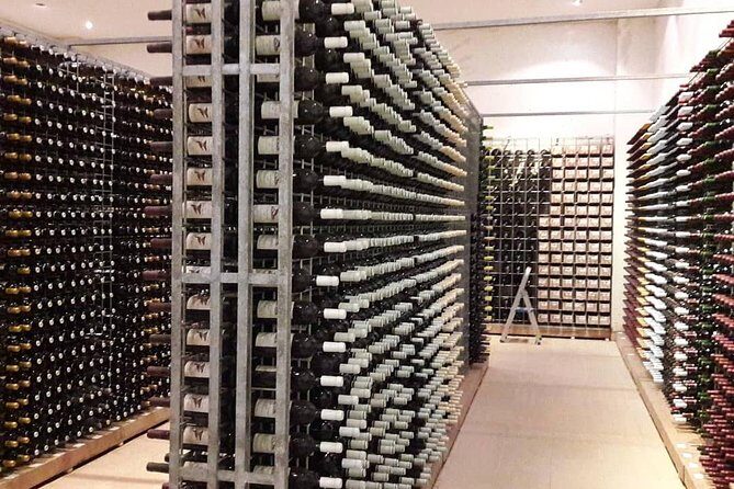 Bairrada is Sparkling wine and more - In-Depth Look at the Tour Experience