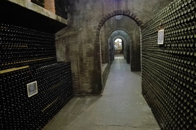 Bairrada Winery Route, full-day from Coimbra - Frequently Asked Questions