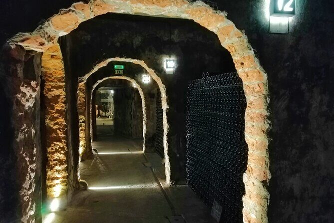 Bairrada Winery Route, half day from Coimbra - Exploring the Bairrada Winery Route: A Half-Day Adventure from Coimbra