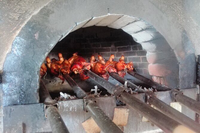 Bairrada Winery Route, half day from Coimbra - Key Points