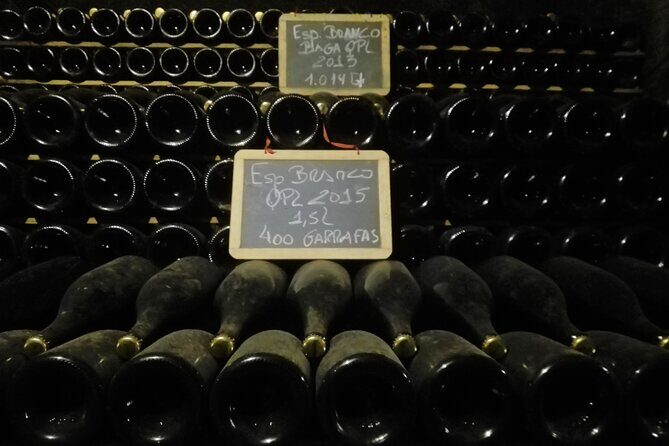 Bairrada Winery Route, half day from Coimbra - Final Thoughts: Is It Worth It?