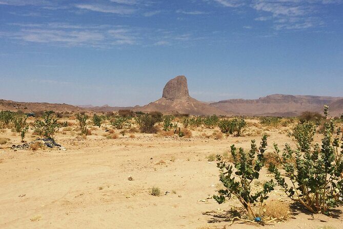 Baja Desert and Beach Electric Bike Adventure with Buffet - What to Expect from the Experience