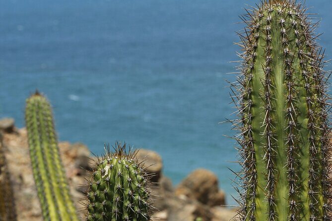 Baja Desert and Beach Electric Bike Adventure with Buffet - Final Thoughts