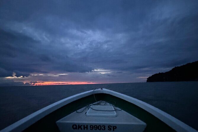 Bako National Park by Night from Kuching - Key Points