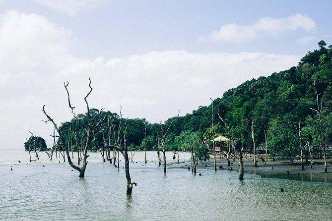 Bako National Park from Kuching City - An In-Depth Look at the Bako Tour Experience