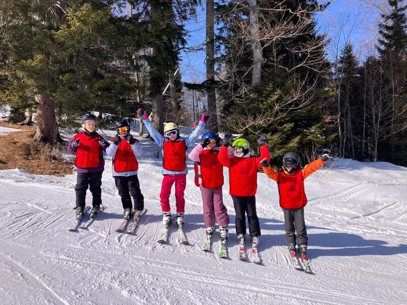 Bakuriani: Private or group Ski Lesson - Key Points
