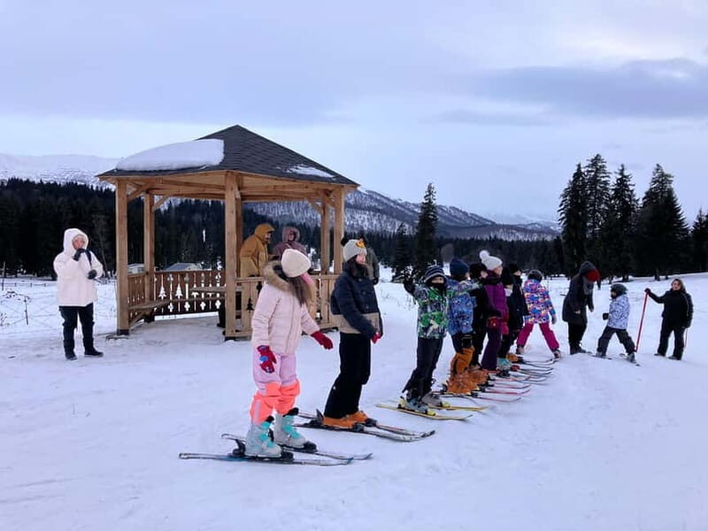 Bakuriani: Private or group Ski Lesson - An In-Depth Look at the Bakuriani Ski Lesson Experience