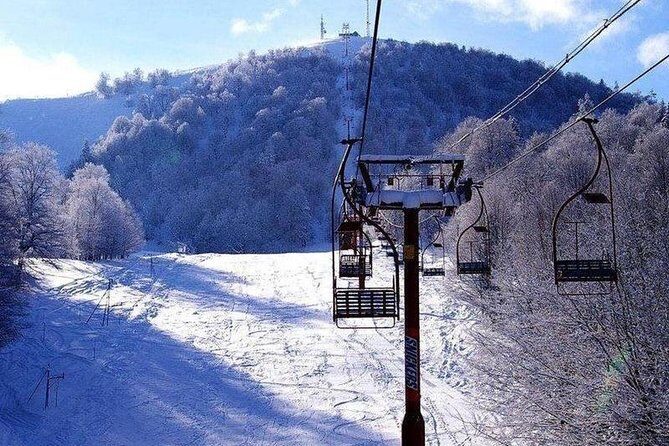 Bakuriani ski resort and the legendary Borjomi (Group Tour) - Who Will Enjoy This Tour?