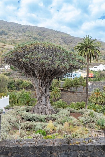 Balades Découverte Teide - La Orotava - Icod de los Vinos - Final Thoughts