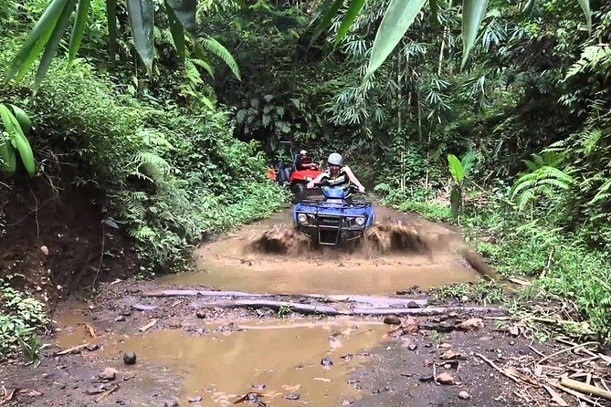 Balaji Adventure Bali Quad Bike - Single Bike 250cc - What to Consider Before Booking