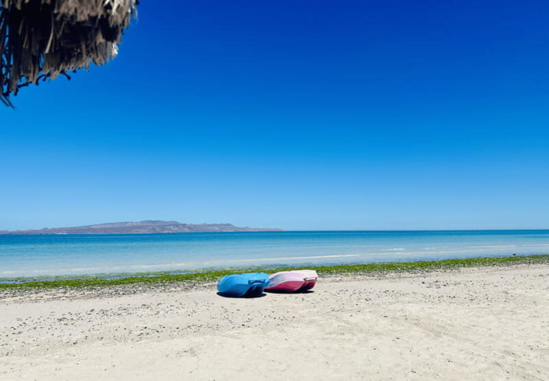 Balandra and Tecolote Beaches Day Trip with Lunch - Who Will Love This Tour?