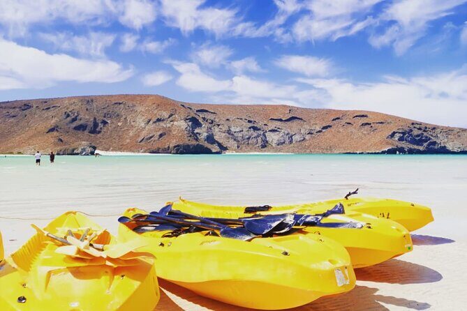Balandra and Todos Santos Beach Tour from Los Cabos - Balandra and Todos Santos Beach Tour from Los Cabos: A Complete Guide