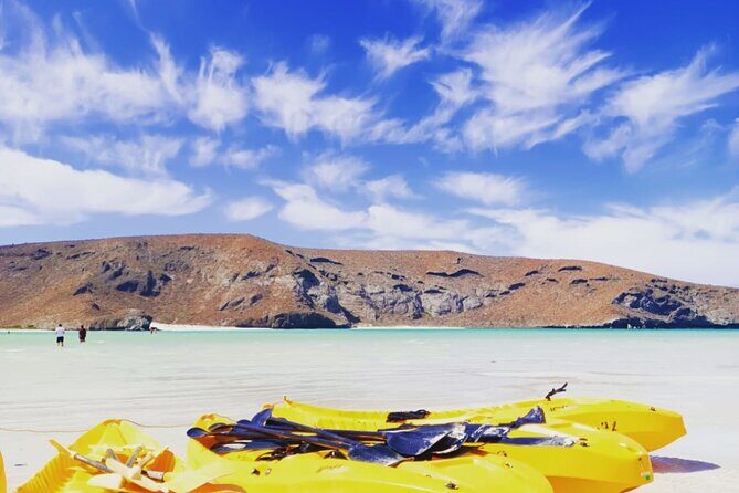 Balandra and Todos Santos Beach Tour from Los Cabos - Pricing and Value