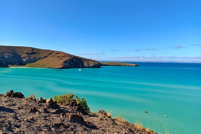 Balandra and Todos Santos Beach Tour from Los Cabos - Who Should Consider This Tour?