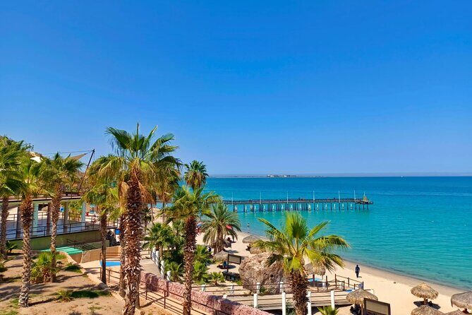 Balandra and Todos Santos Beach Tour from Los Cabos - The Sum Up