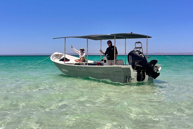 Balandra Beach and Sea Lions Private Tour - Practical Tips for Making the Most of This Tour