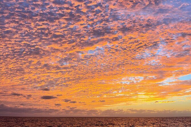 Balandra Beach and Sea Lions Private Tour - Frequently Asked Questions