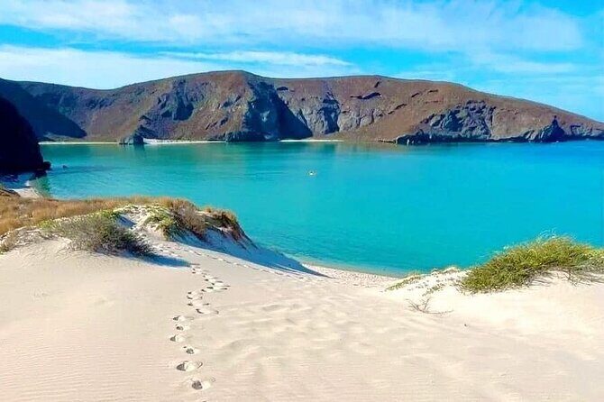 Balandra with Sea Lions for Cruise Passengers - Key Points