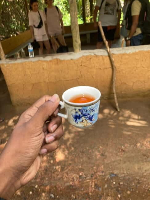 Balapitiya: Madu River Boat Tour - Key Points