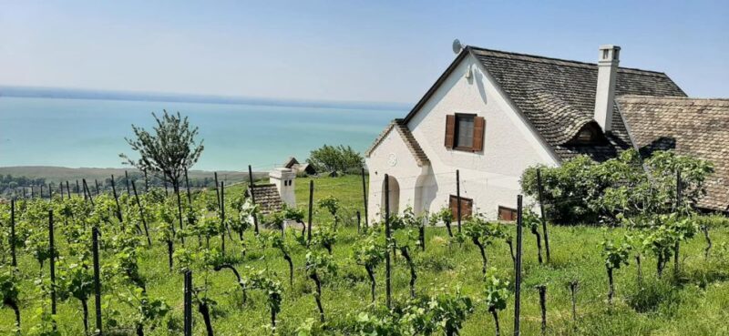 Balaton Full-Day Tour from Budapest - The Sum Up: Is This Tour Right for You?