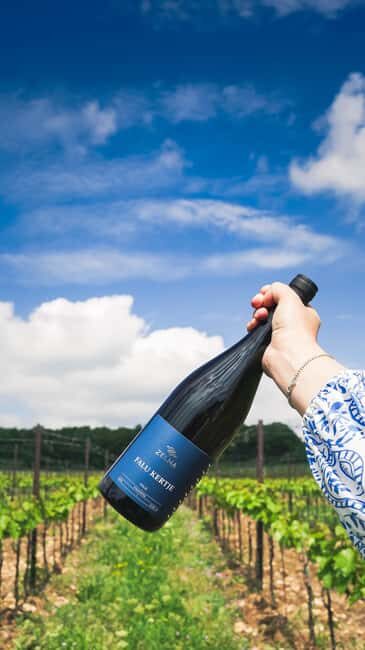 Balaton: Vineyard Tour and Wine Tasting with Zelna - Why This Tour Stands Out