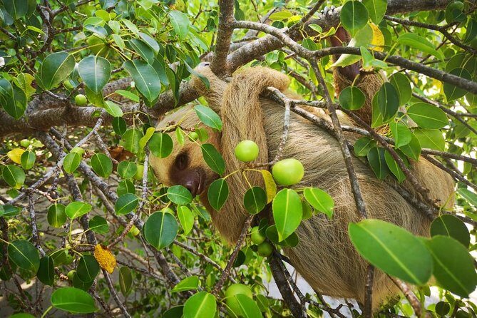 Baldi Hot Springs Arenal Volcano Fortuna Waterfall from San José - A Balanced Look at the Experience