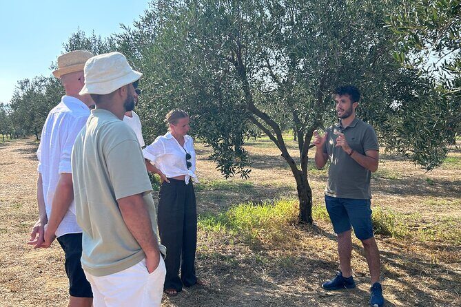 Balestrate Olive Grove Tour: Wine and Olive Oil Tasting - Why This Tour Stands Out